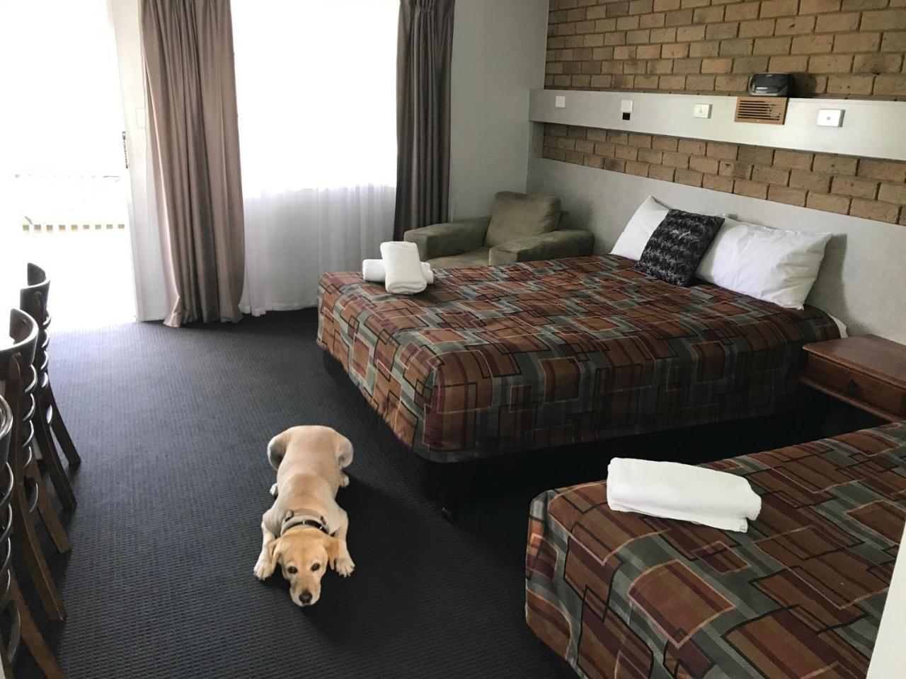 真蓝汽车旅馆 洛坎普顿 外观 照片